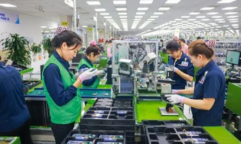 Tái định vị dịch vụ việc làm trung gian để "giải cơn khát" cho thị trường lao động