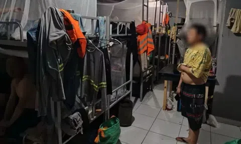 BYD bị Brazil đưa vào danh sách đen vì bê bối lao động 'kiểu nô lệ'