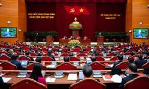 Trung ương Đảng yêu cầu sửa Bộ luật Hình sự, giảm hình phạt với người phạm tội không vụ lợi