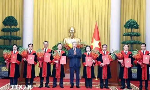 Tổng Bí thư, Chủ tịch nước trao quyết định Thẩm phán TAND tối cao