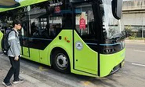 Ba phương án miễn phí xe buýt mà Sở Xây dựng TP.HCM đề xuất: Ưu tiên có lợi cho dân và minh bạch