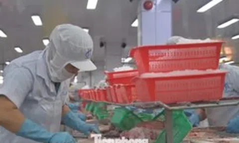 Cả vùng Đồng bằng sông Cửu Long chỉ có 24 tỷ USD vốn FDI