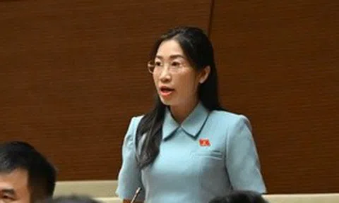 ĐBQH đề nghị bổ sung quy định xử lý trường hợp thông tin công khai không đầy đủ