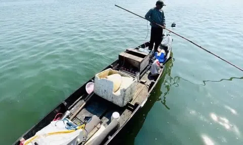 Dùng điện châm cá trên sông, người đàn ông bị xử phạt 7,5 triệu đồng