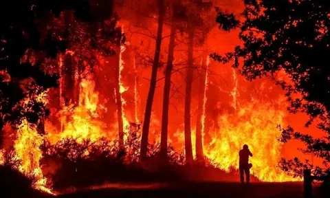 Siêu El Nino là gì, liệu có 'tái xuất' trong năm 2026?