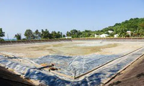 Khô hạn ‘bủa vây’, dân trên đảo Hải Tặc tất bật trữ nước ngọt