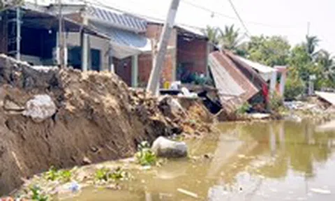 Sạt lở nghiêm trọng cắt đứt đường giao thông, đe dọa hơn 500ha sầu riêng