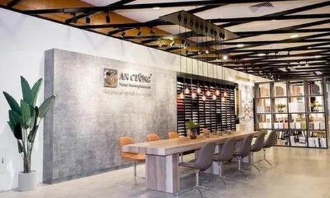 Gỗ An Cường (ACG) vào diện kiểm tra thuế, lộ nhiều biến động tài chính đáng chú ý