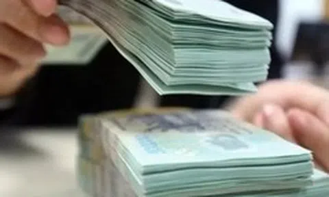 Tài chính Hoàng Huy, phân bón Bình Điền bị truy thu thuế