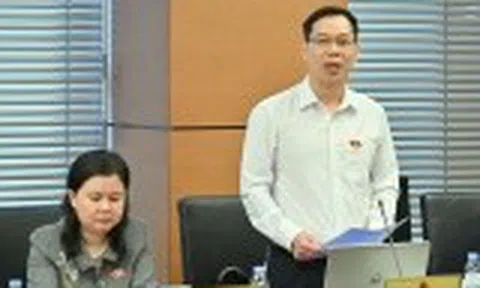 ĐBQH Đỗ Đức Hồng Hà: Cần làm rõ có hay không việc "giải ngân trên giấy"?