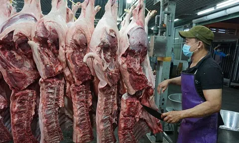 Tp.HCM: Tăng cường kiểm dịch, kiểm soát giết mổ động vật