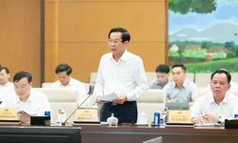 Từ ngày 30-4, Đồng Nai sẽ là thành phố trực thuộc Trung ương?