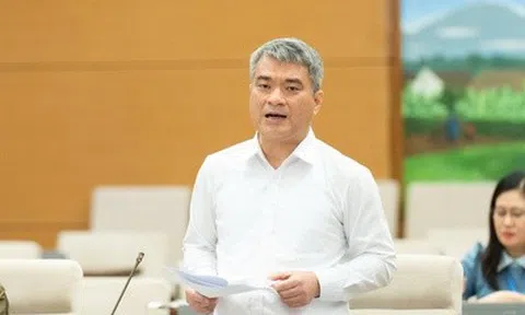 Đề xuất thực hiện thí điểm chế định luật sư công trong 2 năm