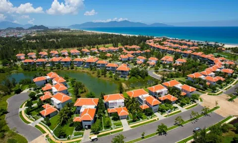 Công ty bất động sản của VinaCapital báo lỗ cả trăm tỷ đồng