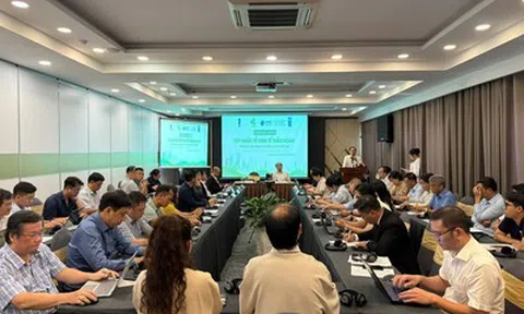 Kinh tế tuần hoàn: cơ hội và thách thức đối với Việt Nam