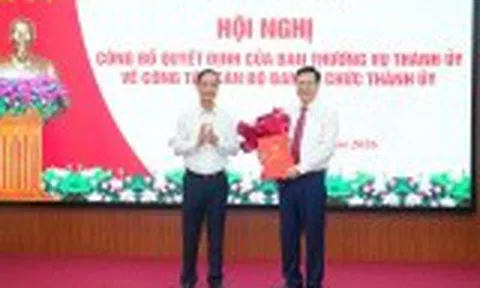 Chánh Văn phòng UBND TP. Hải Phòng làm Phó Trưởng Ban Tổ chức Thành ủy