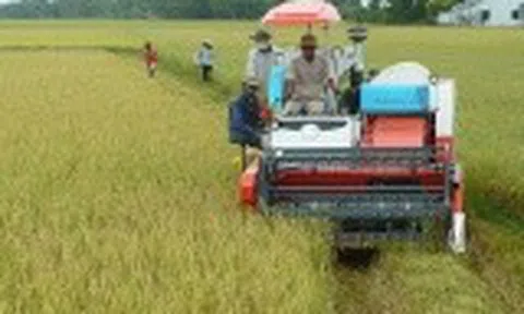 Cơ giới hóa là xu hướng tất yếu trong quá trình phát triển nông nghiệp hiện đại