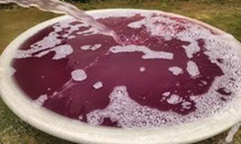 Nước sinh hoạt chuyển màu tím ở Thanh Hóa, xác định do nước thải doanh nghiệp