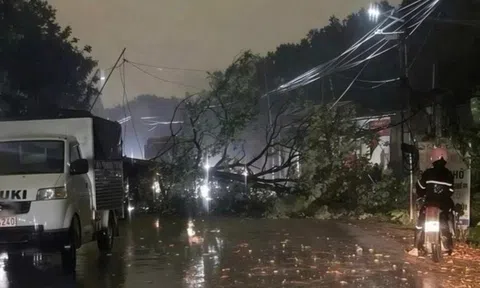 Cây bật gốc trong mưa, đè chết người phụ nữ bán xôi