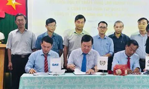 Trình diễn giải pháp bơm năng lượng mặt trời: Hướng đi bền vững cho nông nghiệp Tây Nguyên