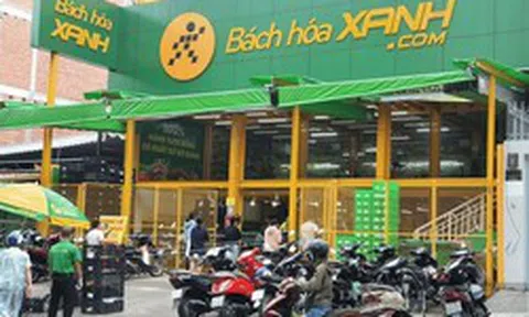 CEO Bách Hóa Xanh: Sẽ cân nhắc bán sỉ cho trường học, nhà hàng, doanh nghiệp