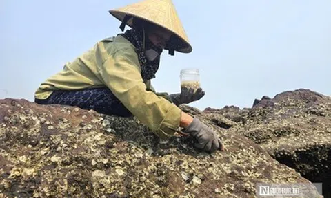 Đục đá "hái tiền" - Nghề độc lạ ở Nghệ An