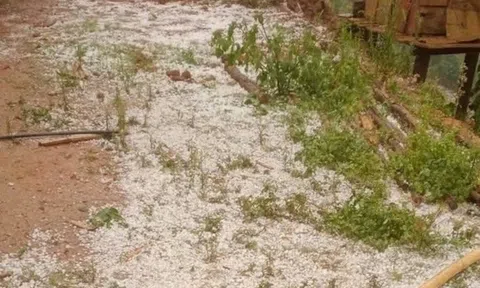 Mưa đá dày đặc ở Sơn La, đồi núi trắng xóa sau cơn dông