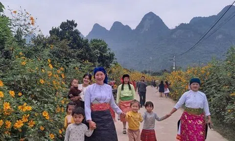 Tuyên Quang thông báo cho thuê môi trường rừng phát triển du lịch sinh thái tại Phong Quang