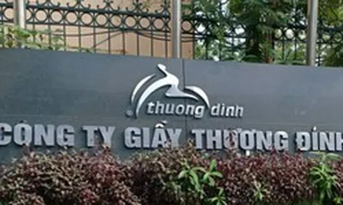 Vinaconex tính mua cổ phần của Giầy Thượng Đình