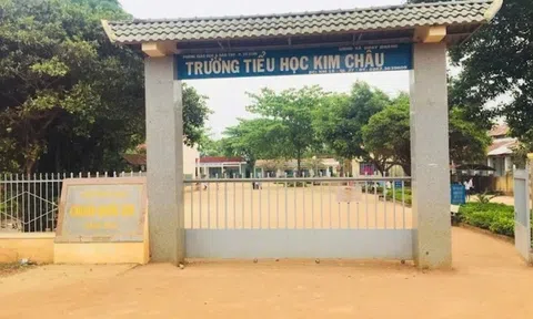 Chỉ đạo giả mạo chữ ký, một hiệu trưởng tiểu học bị cách chức