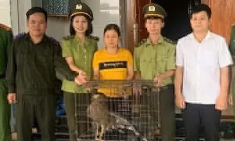 Động vật 'lạ' xuất hiện trong khu dân cư