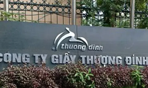 Vinaconex dự kiến mua cổ phiếu riêng lẻ của Giầy Thượng Đình