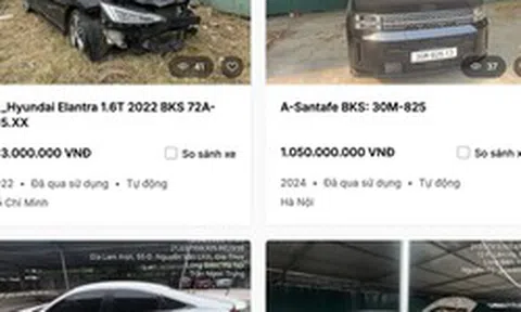 Ngân hàng thu giữ loạt xe ô tô điện của Mai Linh Lào Cai