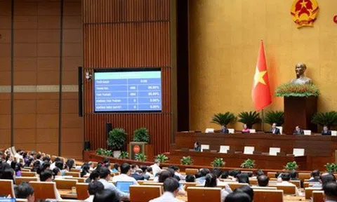 Không mở rộng trợ giúp pháp lý sang lĩnh vực kinh doanh, thương mại