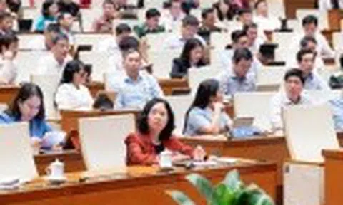 Đại biểu Quốc hội đề xuất ngưỡng chịu thuế với hộ kinh doanh từ 3 tỷ đồng