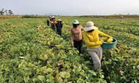 Nhà không cần khóa cửa, hàng xóm mang qua mang lại tô canh nóng, thời đó đã thành xa xưa?