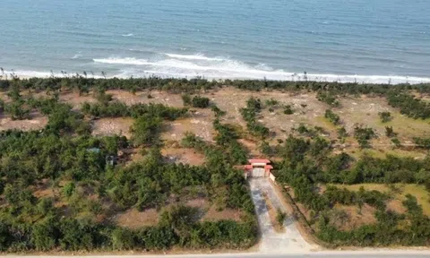 Người dân khốn khó vì doanh nghiệp ôm 'đất vàng' ven biển rồi bỏ hoang