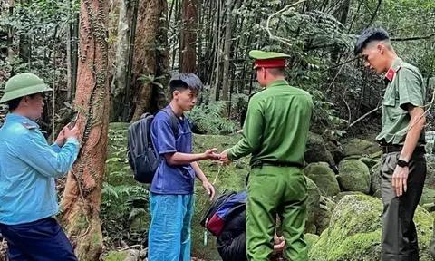 Giải cứu hai du khách lạc trong rừng sâu Tây Yên Tử ở Bắc Ninh