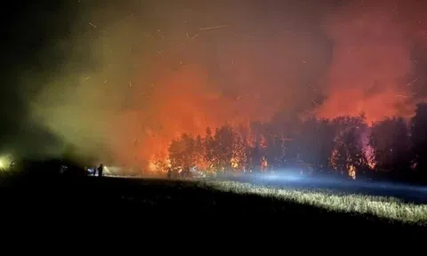 Gần 5 ha rừng tràm ở An Giang cháy rừng rực hơn một ngày