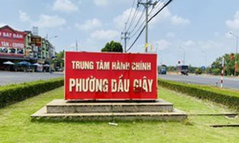 Đồng Nai gấp rút chuẩn bị vận hành chính quyền đô thị khi lên thành phố
