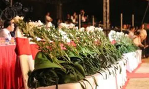 Sự kiện bi tráng ở hang Hỏa Tiễn nhắc nhở trách nhiệm của thế hệ hôm nay