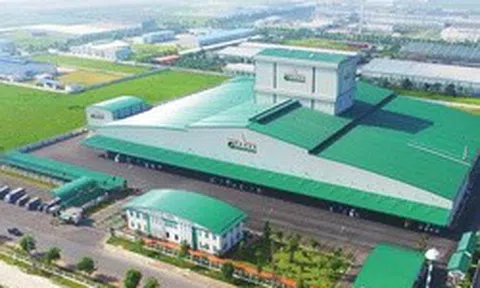 Greenfeed Việt Nam lãi ròng hơn 3.650 tỷ đồng trong năm 2025