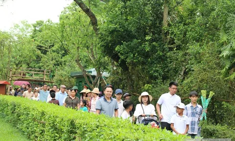 Hàng vạn người từ mọi miền Tổ quốc về thăm Làng Sen quê Bác