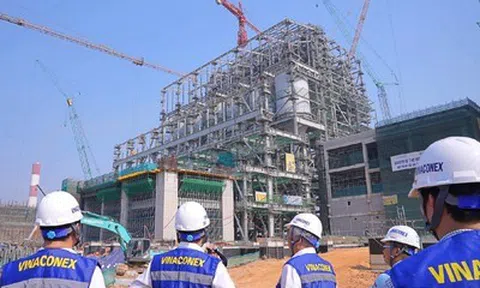 Xây lắp giữ nhịp, tài chính và bất động sản kéo lợi nhuận Vinaconex đi lên
