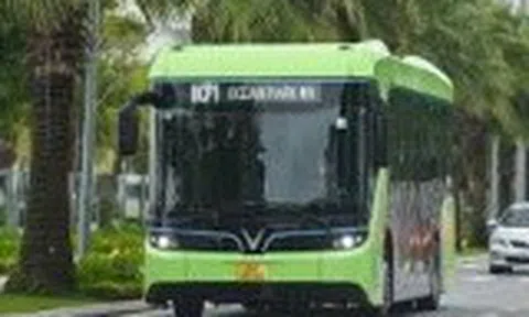 Hà Nội tiếp tục đưa thêm 52 xe buýt điện, nâng tổng số phương tiện xanh lên 797 xe