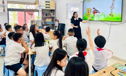 Những đơn vị sự nghiệp công lập nào thuộc diện sắp xếp?