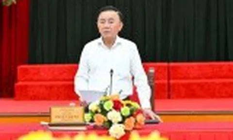 Bộ Chính trị ban hành kết luận về phòng, chống sụt lún, sạt lở, ngập úng, hạn hán, xâm nhập mặn vùng đồng bằng sông Cửu Long