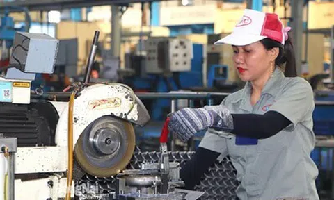 Hơn 119,4 nghìn doanh nghiệp thành lập mới, quay trở lại hoạt động trong 4 tháng