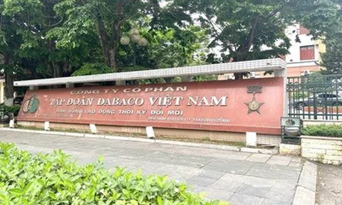 Dabaco lãi giảm sâu, chi phí đầu vào và giá lợn hơi tạo áp lực