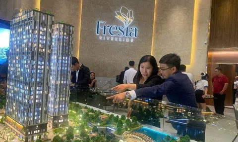 Giá chung cư mở bán ở Hà Nội cao hơn TP.HCM gần 20 triệu/m2